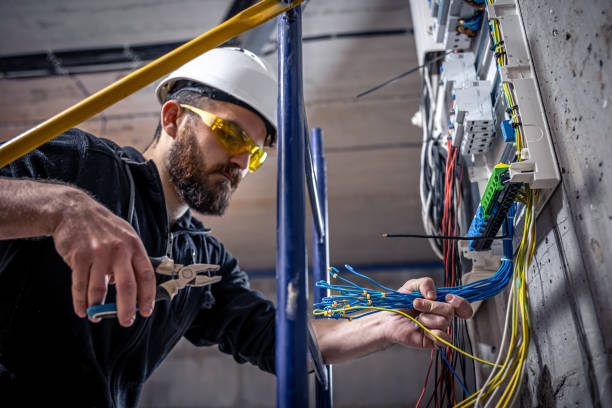 Best Electrical System Inspection  in Jesup, GA